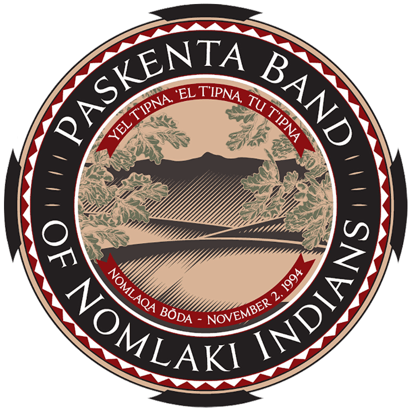 PBNI-Seal-2020 PBNI-Seal-2020